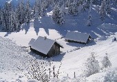 Die Berge sind mein Zuhaus - Schürzenjäger