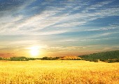 Sommergefühl - Klostertaler