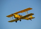 Flugzeuge im Bauch - Herbert Grönemeyer