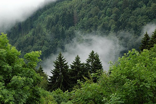 Durch grüne Wälder - Gotthilf Fischer Chor