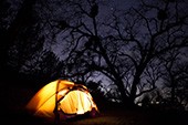 Nacht voll Schatten - Tipp des Monats für die Sängerin - Sotiria