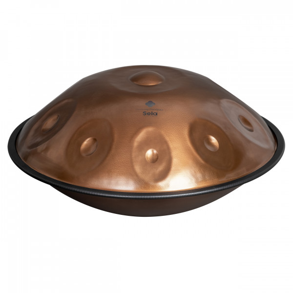 Harmony Handpan Phoenix Steel D Amara 10