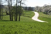 Ein Zigeuner verlässt seine Heimat - Alpentrio Tirol