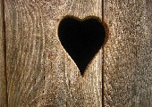 Bad Case of loving you - Robert Palmer