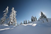 Weihnacht in den Bergen - Alpentrio Tirol