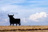 Viva Torero - A la Carte