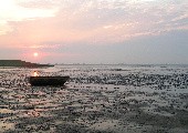 Die Fischerin vom Bodensee - Wildecker Herzbuben