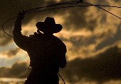 Schenk dein Herz niemals einem Cowboy - The Ranchers