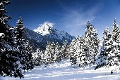 Die weiße Braut der Berge - Kastelruther Spatzen