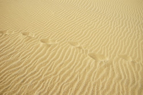 Deine Spuren im Sand 2020 - Howard Carpendale