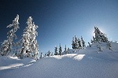 O Tannenbaum - traditionell